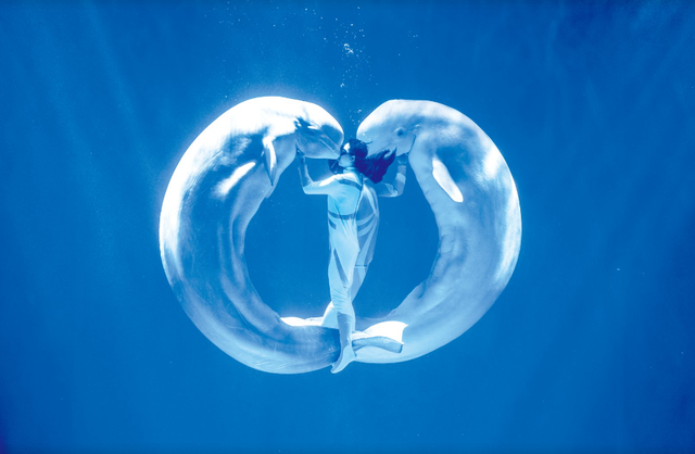 我说“白”了，你有点过分了！