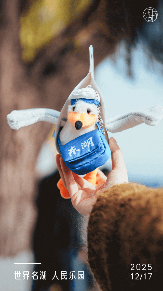 年末扫「货」，东湖年度文创清单出炉！