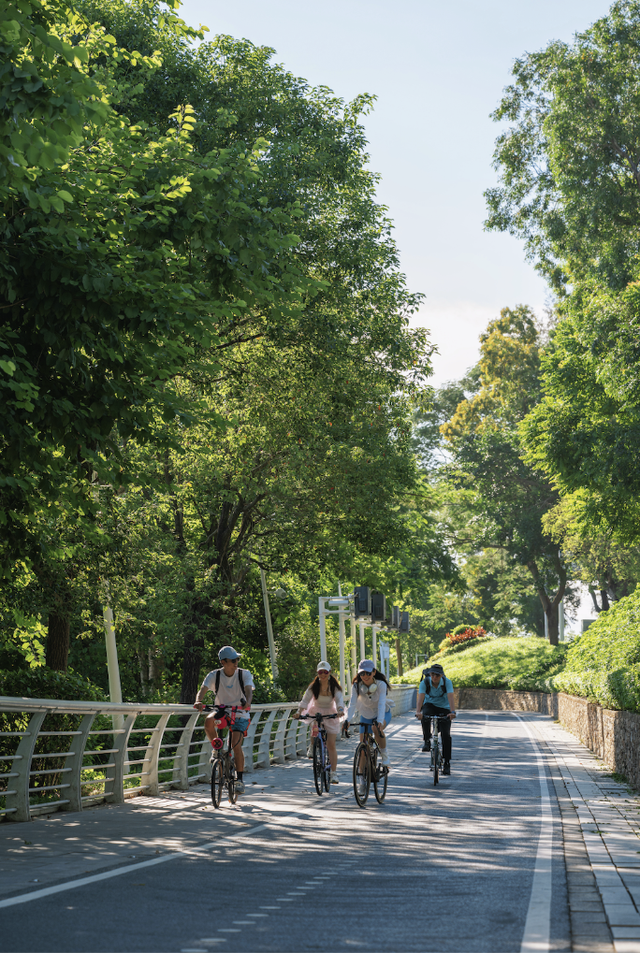 山海“骑”遇大湾区