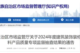 宁夏市场监管厅发布2024年度建筑装饰装修材料产品质量专项监督抽查结果图片
