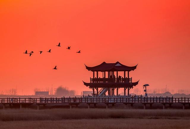江西永修：鹤舞鄱湖引客来