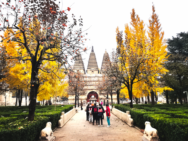 步步皆斑斓，解锁京城秋日诗意