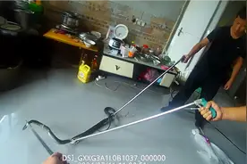 吓出冷汗！文山一市民家中跑进2条蛇……图片