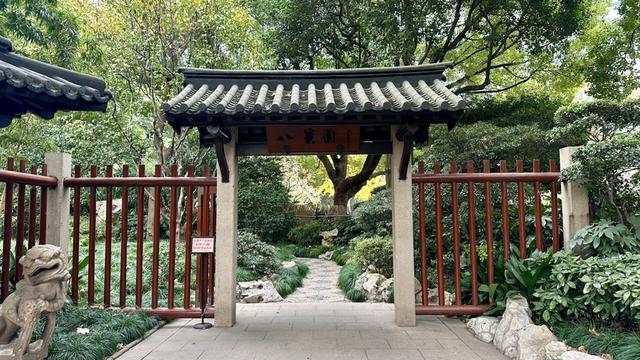 静安公园周五起闭园9个月，官方效果图抢先看！市民有啥期待？古树群怎么办？