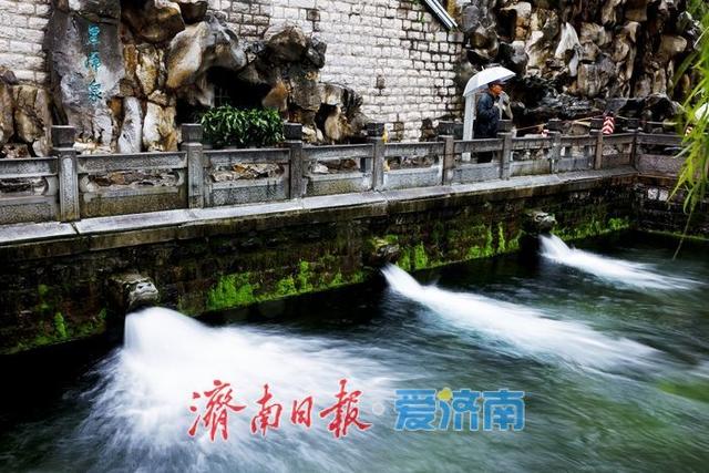 一年四季 泉在济南丨护城河畔细雨织轻纱 垂柳秋韵映清波