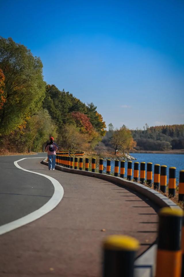 走一走 “森”呼吸