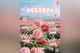 曲靖五月赶花季丨体育惠民陪您欢乐过“五一”图片