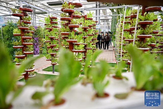 河北沧州：大运河堤顶路铺就美好生活新图景