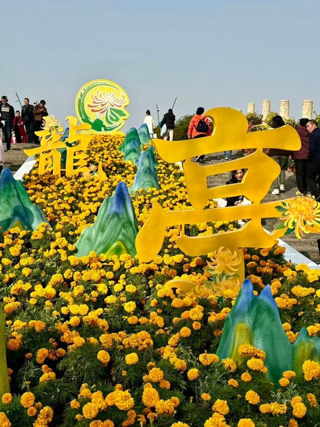 官宣！龙亭菊展延期！