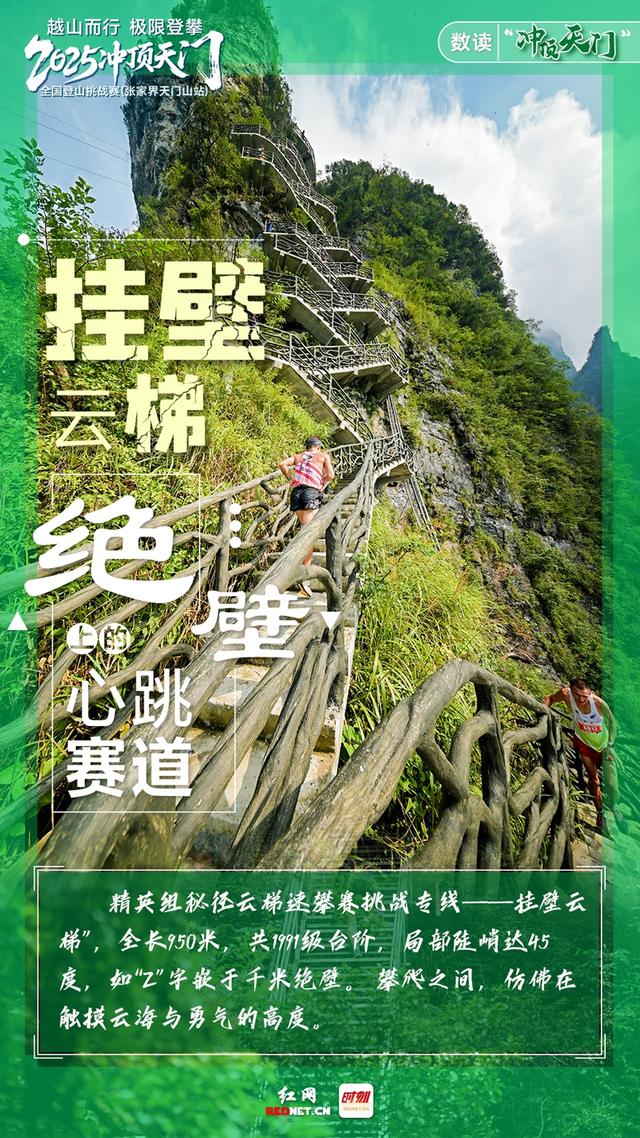 “数”读 | 冲顶天门，步履不凡！