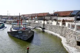 荣成：“含绿量”提升“含金量” “高颜值”转化“高价值”图片