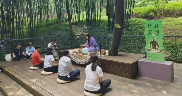 绿美云山丨以森林入药 漫享云山身心疗愈