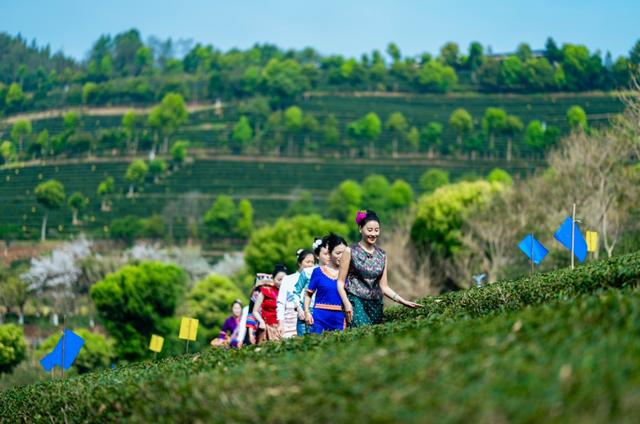 《经济日报》整版聚焦：临沧市打造“遇见临沧如回故乡”品牌