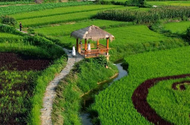 乐游绵阳 清凉一夏 ‖ 立秋已过，平武多了几分“姿色”！云海、花海、森林与田园的诗意交响~