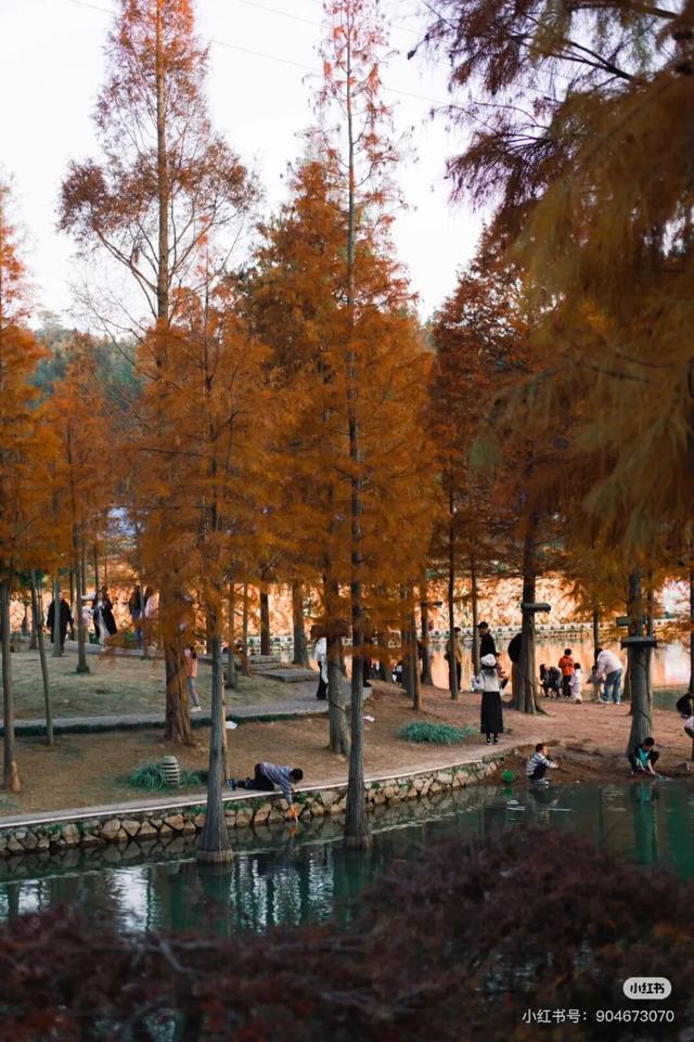 航旅融合 | 抽免费机票，来三明欣赏不一样的初冬景色！