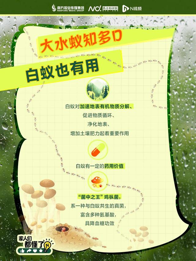头皮发麻！不少广东人家里突现大量飞虫，紧急提醒