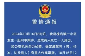 河南一地发生刑事案件致2死1伤 警方通报：犯罪嫌疑人畏罪自杀图片