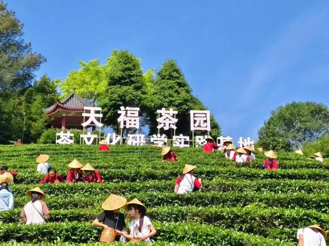 四川首个！成乐高速夹江天福服务区可办离境退税