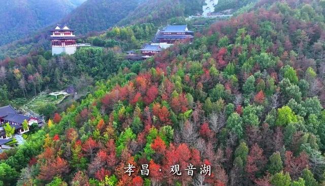 藏在鄂北的斑斓仙境，等待与你邂逅这个秋天！