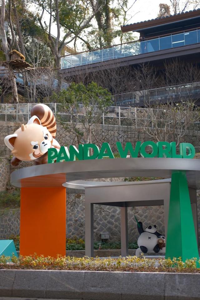 欢迎来到熊猫的家！保姆级攻略请收好！