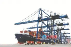 订单飙升！厦门港美国航线“爆舱”图片