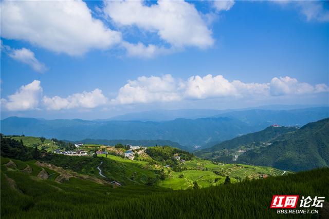【每日一图@湖南】千层绿浪，漫过山背的夏天