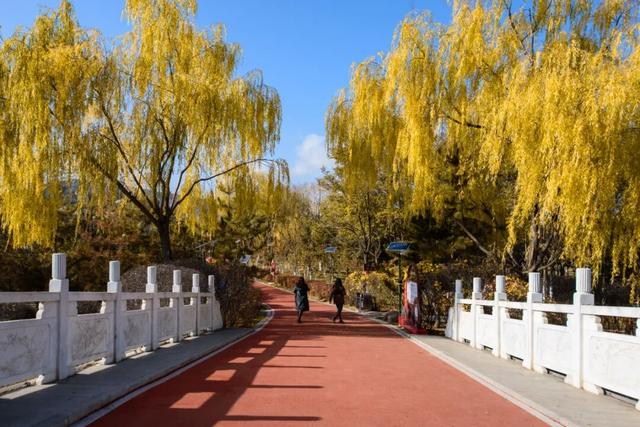 图说定西 | 定西湖畔风景如画