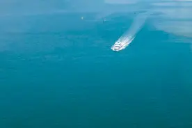 海南通报：停业整顿15天图片