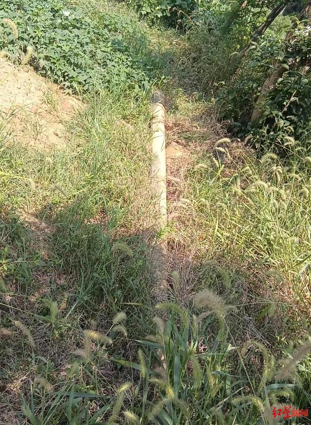5岁女童被水泥杆砸中不幸身亡 家属：杆上有明确标识和编号，望尽快查清所属单位