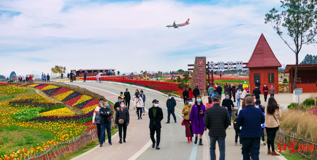 秋假怎么玩，亲子田园还是冰雪盛景？成都发布12条近郊旅游线路