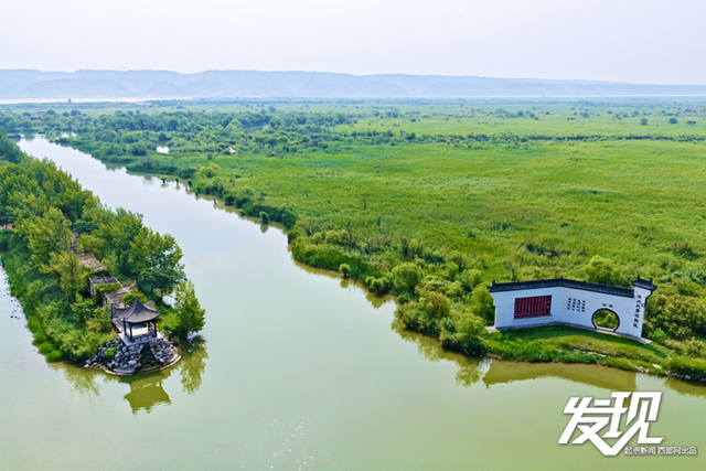 发现丨洽川湿地：绿水盈盈 芦苇丛丛