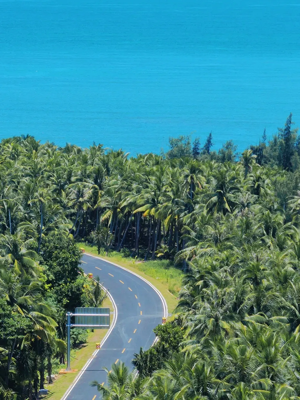 孝敬爸妈好就来海南岛 | 25℃的温暖，是给他们最好的礼物
