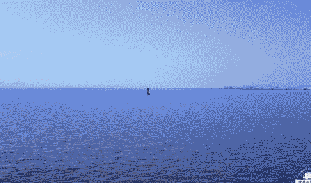 热爱大海的孩子会不一样！扬帆出海、沙滩逐浪、滩涂抓蟹…今年夏天一起去海岛撒欢图片