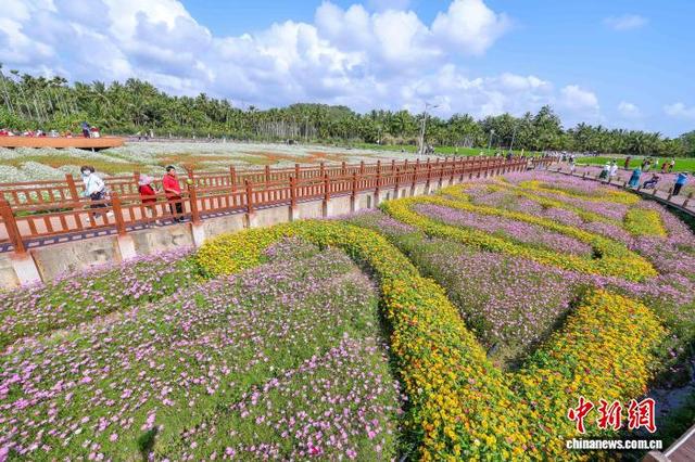 海南博鳌：绚烂花海引客来