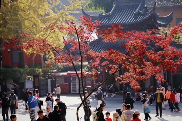 “CHUA”的一下，65%！