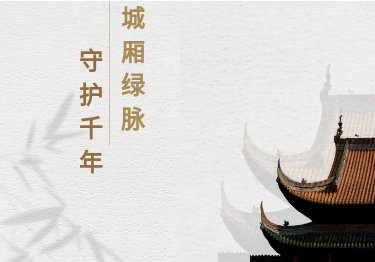 守护千年城厢绿脉！古镇树木复壮及管护升级行动全面展开