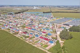 党建引领乡村振兴的精彩答卷——松原市推进村党支部领办土地股份合作社发展纪实图片