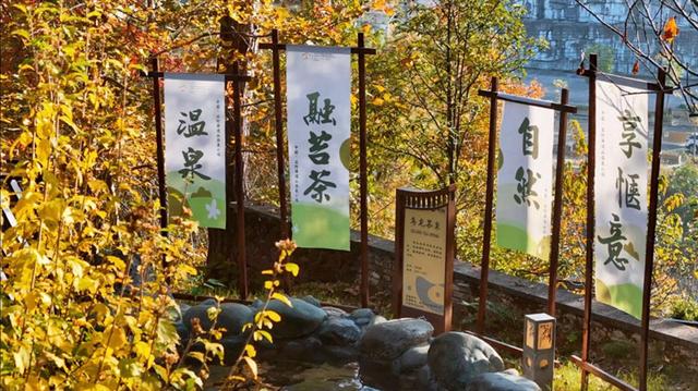 石阡：“茶农旅”深度融合铺就“十四五”高质量发展之路