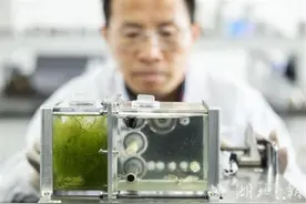 我国空间生态系统技术实现重要突破 “太空鱼缸”正常运行43天创造世界新纪录图片