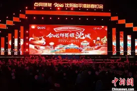 “点亮燃冬”2025和平湾新春灯会在沈阳启幕 邀各地游客共赏花灯如昼图片