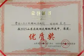 喜报！费县大樱桃获全省优质奖图片