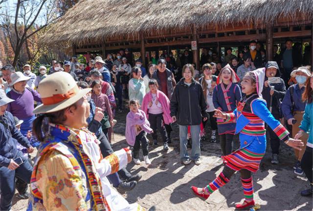 观鸥、民俗、艺术、美食  云南民族村开启暖冬趣味之旅