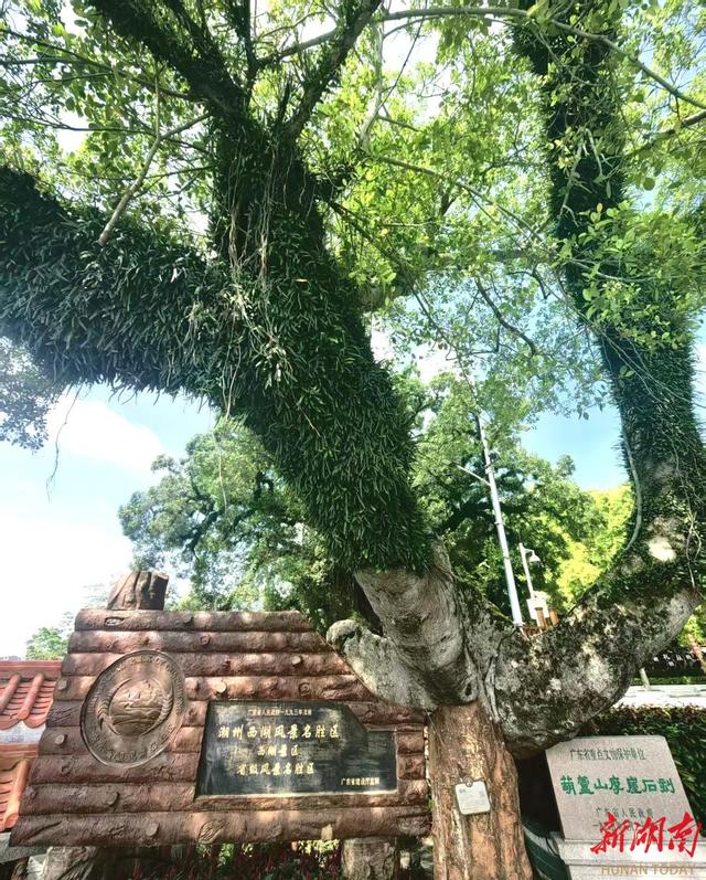 潮州西湖：小而精的千年胜境
