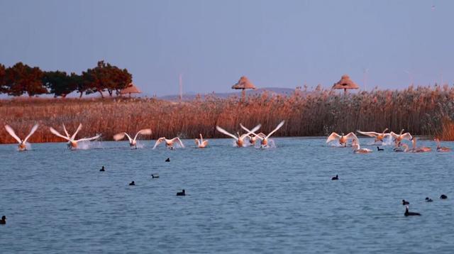 冬韵染南海 一帧一景皆画境