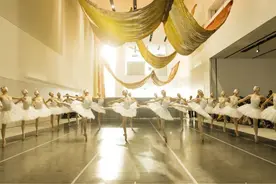 带来美妙视听体验，春晚同款“天鹅”飞进浦东美术馆图片