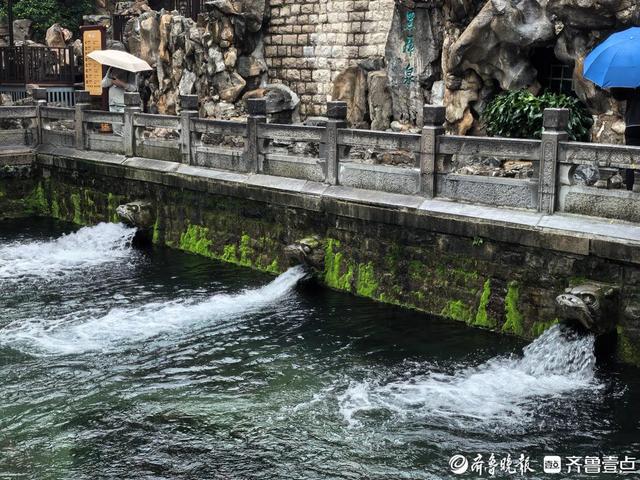 泉水撒欢！济南“泉水游”进入最佳观赏季