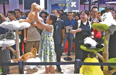 进化加速