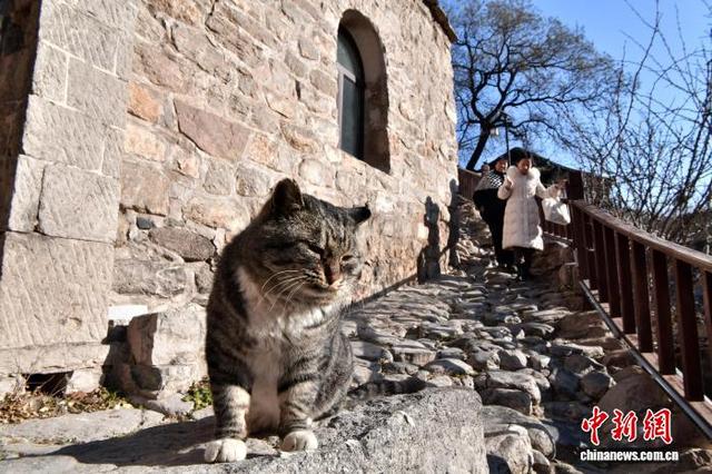 太行深处“立体石城”：石头迷宫藏“一宅九院”