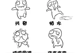 永州疾控丨狂犬病科普——认识致命威胁 守护生命安全图片