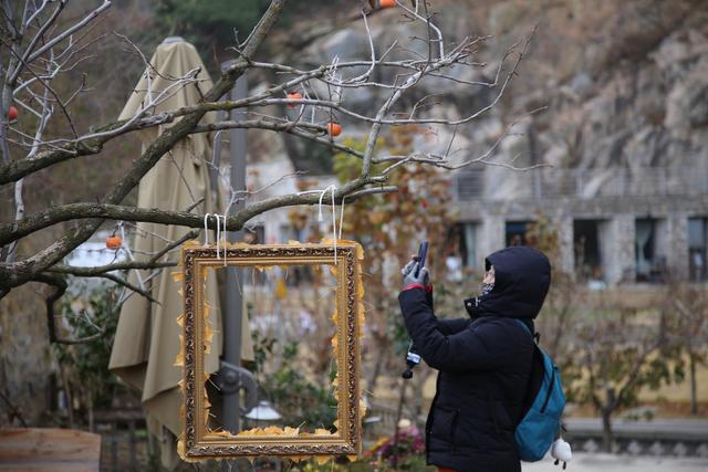 冬日嵩山，邂逅“小秀山”：解锁“文艺范”冬日微度假